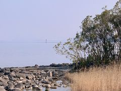 -上海吴淞炮台湾国家湿地公园