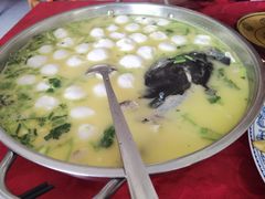 -柘林湖生态鱼馆