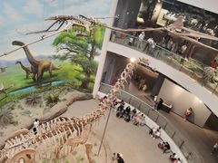 -辽宁古生物博物馆