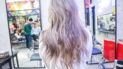 -SALON V