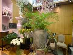 -蝶舍·MAISON PAPILLON