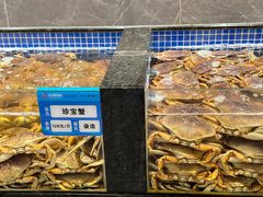 -东海怡品海鲜豆捞(舟宿夜江店)