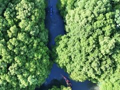 -动邦皮划艇·桨板·独木舟·团建户外运动俱乐部