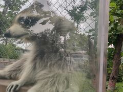 -大青山野生动物园