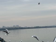 -蠡湖大桥公园