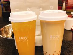 千杯不醉啤酒金凤-杯欢制茶(三里屯店)