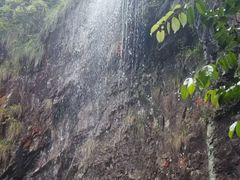 -旗山国家森林公园