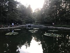 -庐山风景区花径公园