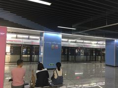 -大龙山(地铁站)