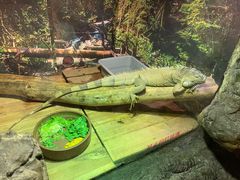 -多彩贵州城极地海洋世界