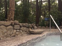 iphone_upload_pic-金方森林温泉