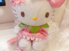 -安吉银润锦江城堡酒店(Hello Kitty主题乐园店)
