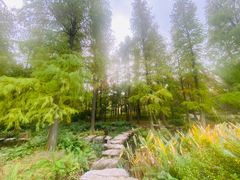 -上海滨江森林公园