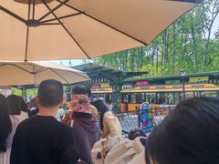 -合肥滨湖国家森林公园