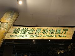 -陕西自然博物馆