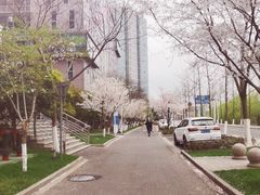 -无锡新湖铂尔曼大酒店