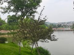 -枫香湖儿童公园