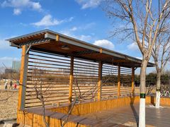 -大兴滨河森林公园