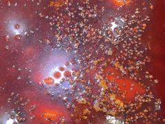 -凤来栖·净庭院·火锅(欧尚店)