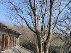 -解香楼(八盘岭路店)