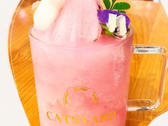 -猫小院猫主题餐厅(三里屯店)