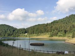 -武陵山森林公园