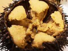 生海胆-海胆小馆(东北水饺·春柳店)