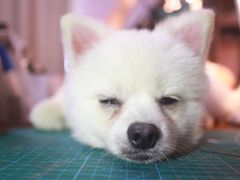 -零几体验diy皮具工作室(振业城店)