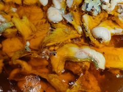 -雲蜀龙阁·金牌水煮鱼(方庄店)