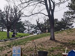 -小意思咖啡店(草桥店)