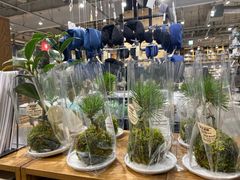 -无印良品(京都BAL店)