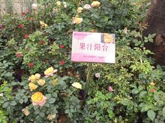 -人民公园(罗湖区)