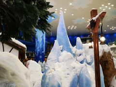 -长沙湘江冰雪世界