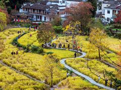 -塔川景区