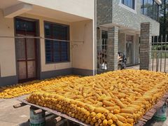 -小六农家乐(崇明西沙湿地店)