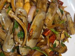 -鸽子窝(黄村店)