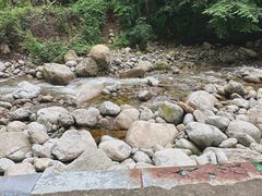 -陕西省红河谷森林公园