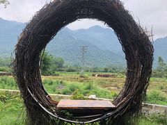 -竹语饭香·原生态农庄·烧鸡·竹筒饭·河鲜(森林海白水寨店)