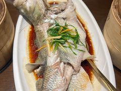 -岭南小生·粤港点心(南门口店)