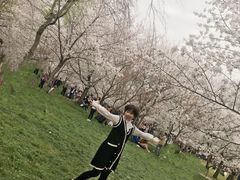 -武汉武昌威斯汀酒店-知味自助餐厅