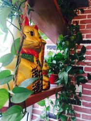 -蔚蓝映像STUDIO婚纱摄影(南稍门店)