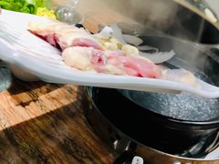 -春润大地海南椰子鸡(沙井京基百纳广场店)