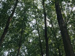 -天津武清北运河郊野公园房车露营地