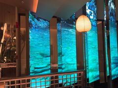 -桂满陇·海市蜃楼·黑金(国金店)