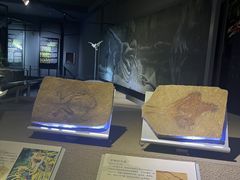 -中国西峡恐龙遗迹园