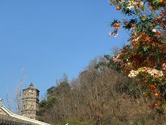 -紫阳古街