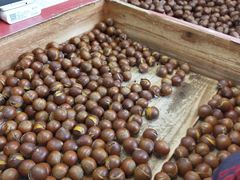 -阿男野栗王(金门路店)