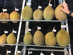 -都念榴莲·城市榴莲