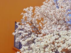 -龙华寺