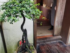 -青竺·青竹茶舍(断桥店)